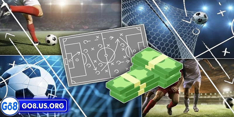 Kinh nghiệm cá cược thể thao Go8