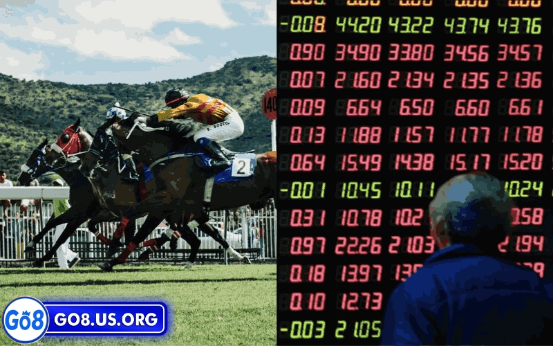 Theo dõi thống kê chiến thắng của chiến mã trước khi đặt cược