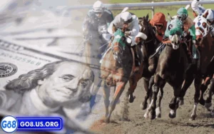 Không cần thiết phải am hiểu đua ngựa mới có thể chơi cá cược